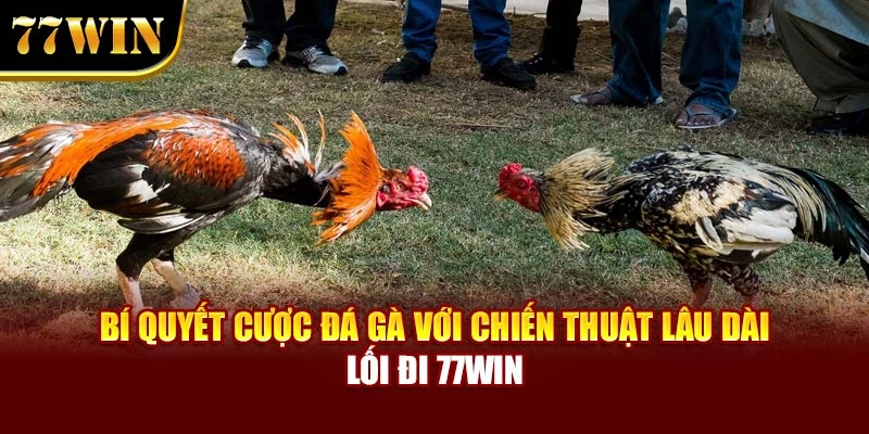 Bí Quyết Cược Đá Gà Với Chiến Thuật Lâu Dài – Lối Đi 77WIN