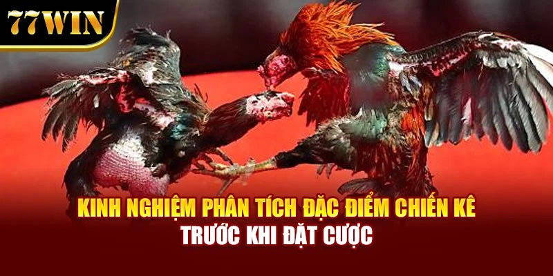 Kinh nghiệm phân tích đặc điểm chiến kê trước khi đặt cược